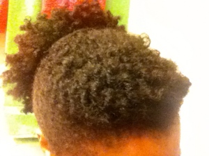 twist out pulled back into a puff